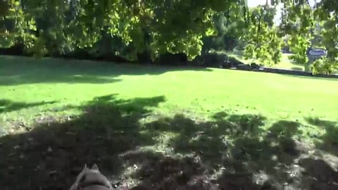 Lake Annand is bone dry and the ducks have gone up river