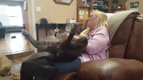 Wolf Dog Thinks She Is A Baby