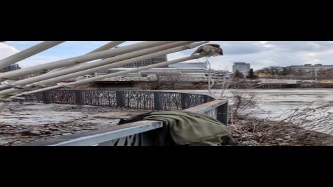 Red Tail Hawk Super Cloes