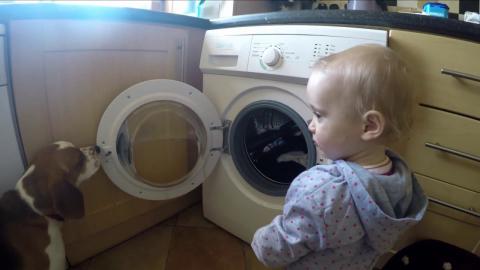 Dog and Baby Pranked While Doing Laundry 