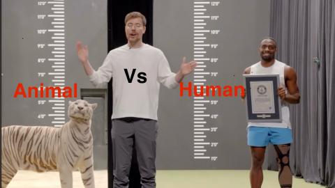 Human Vs Animal - Part 01