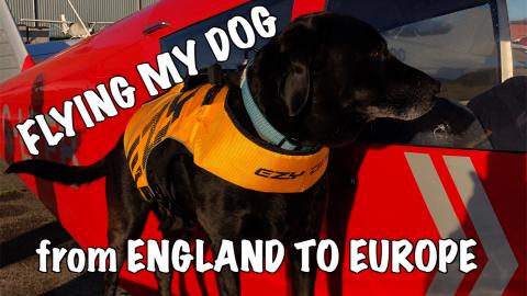 Percy the Labrador flying from France to Spain in a Piper...