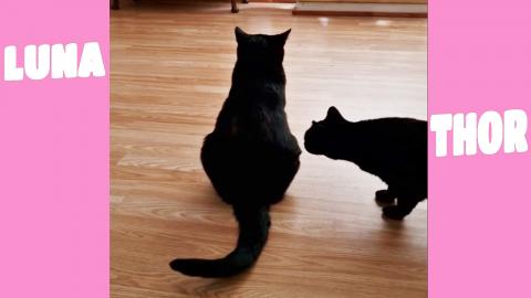 You smell like candy bro where you been