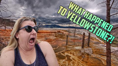What Happened to YELLOWSTONE National Park | Travel Show