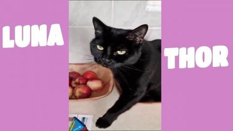 Can I play ▶️ with this strange 