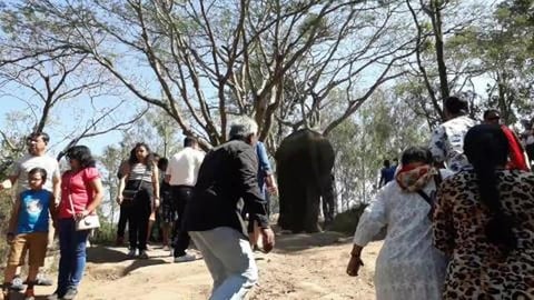 Dubare Elephant Camp | Coorg