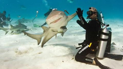 15 Perfectly Timed Photos #5