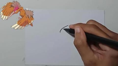 Drawing Pokemon FEAROW