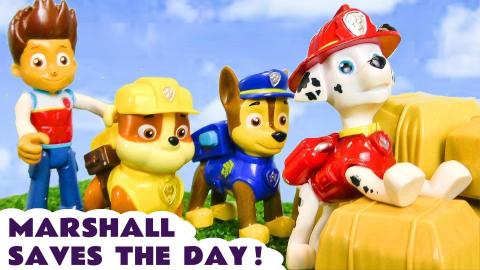 Can Paw Patrol Marshall save the day for the other pups?