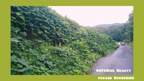 Beautiful places in the villages of Kerala, India