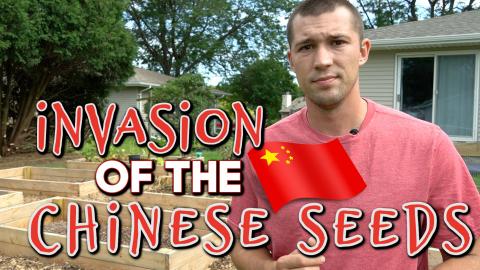 Thousands of Americans Being Sent Mysterious Seeds from C...