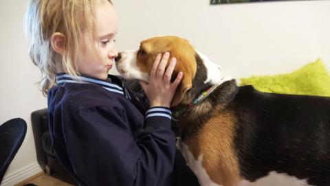 dogs welcoming owners