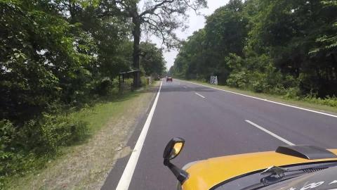 Towards New Jalpaiguri Through Forest | West Bengal