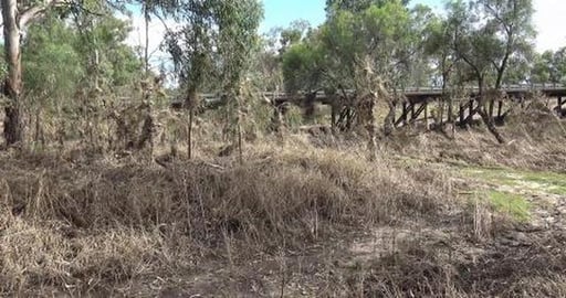 Not a good idea for Husky girl to go swimming in the rive...