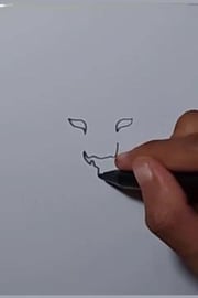 Drawing Tatto Tribal 47 shorts