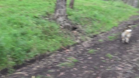 Going on a Hike and getting all muddy