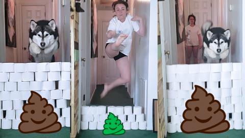 Giant Malamute VS Pretty Girl | Toilet Paper Challenge