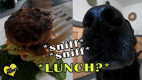 Making Cheesy Beef Burgers with our Dog Percy the Labrado...