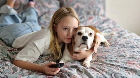 How Beagle Dogs Jump on Bed when I Have Food