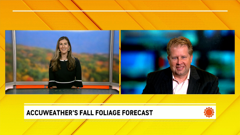 Trending Now Weather Videos | AccuWeather