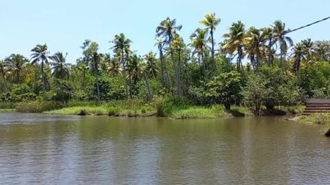 Sailing Through Poovar Backwaters | Kerala