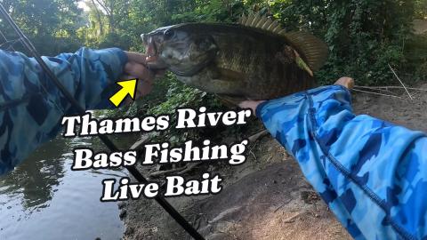 Thames River Bass Fishing