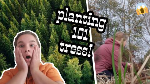 I PLANTED 101 TREES!