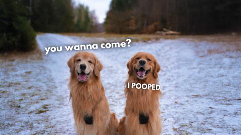 Come with Us to the Park!