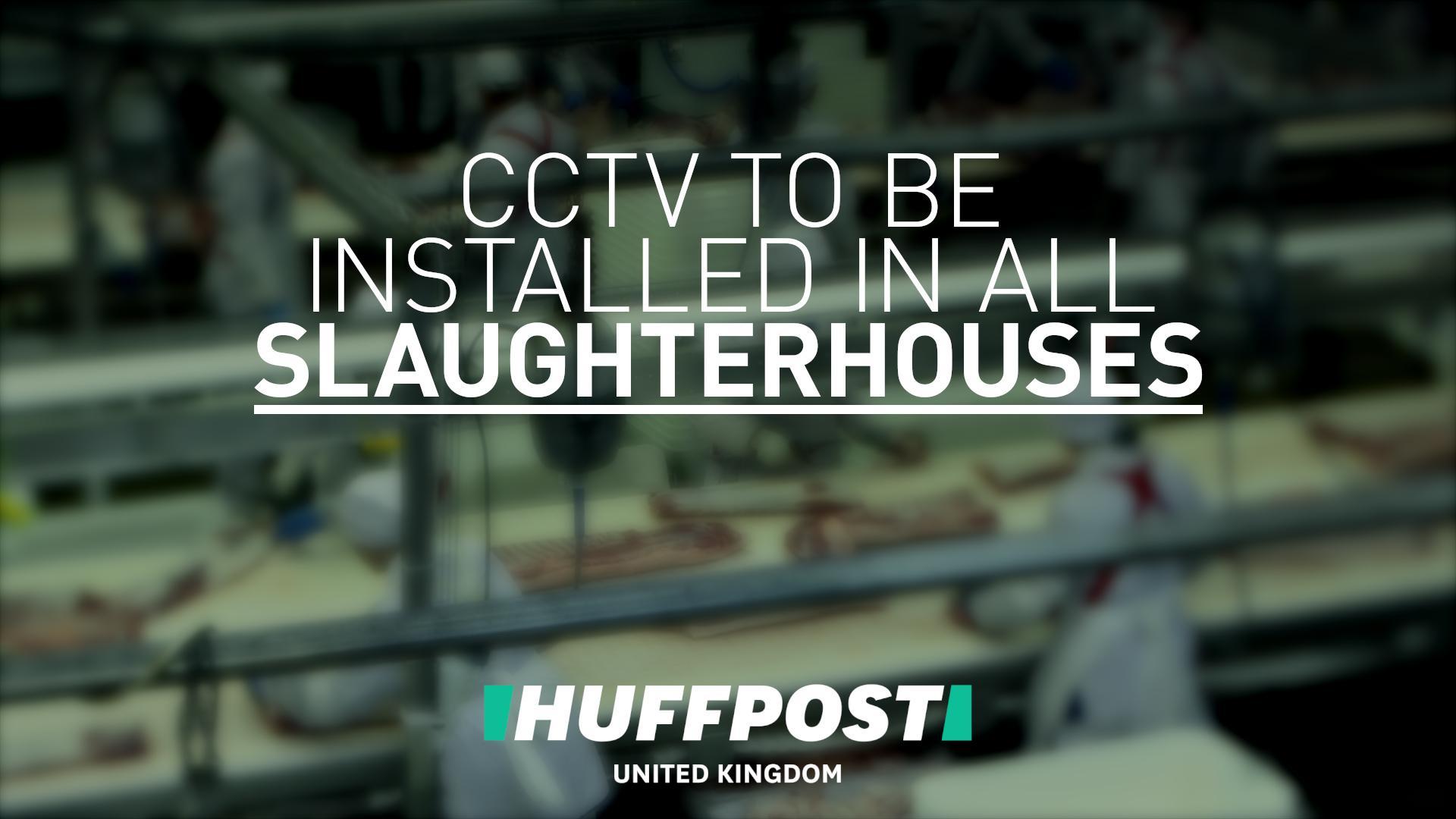 CCTV To Be Installed In All Slaughterhouses In England, Defra Announces ...