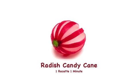 Radish Candy Cane (Shorts)