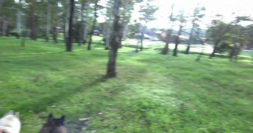 Visiting Tikaani's boyfriend & there is a fun run on