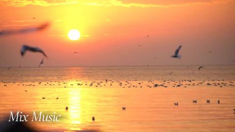 Freedom in Flight | Relax & Uplift with Mix Music