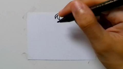 Draw tatto v35 2024 shorts