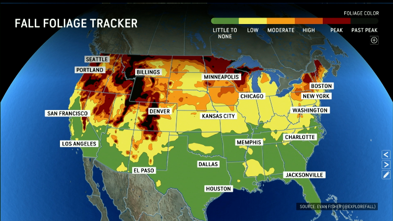 Trending Now Weather Videos | AccuWeather