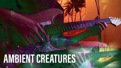 Ambient Creatures - Original Music