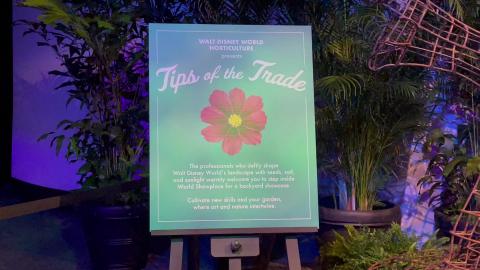 Epcot - Tips of the Trade inside Festival Village - Flowe...