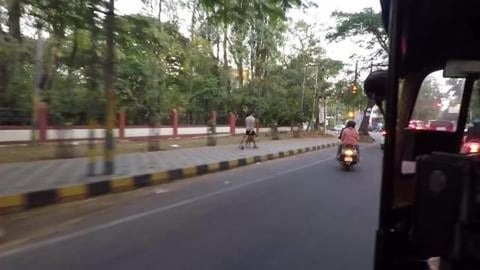Dog Walker | Mysuru