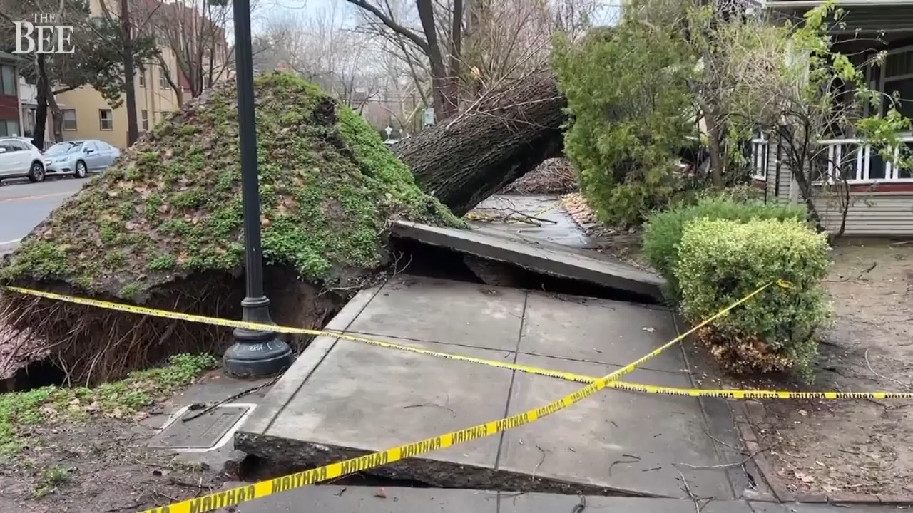 Video Lightning storm in Sacramento, California Sacramento Bee