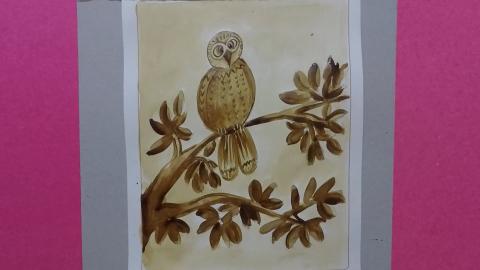 Coffee Painting - Owl | Sumana's Artwork