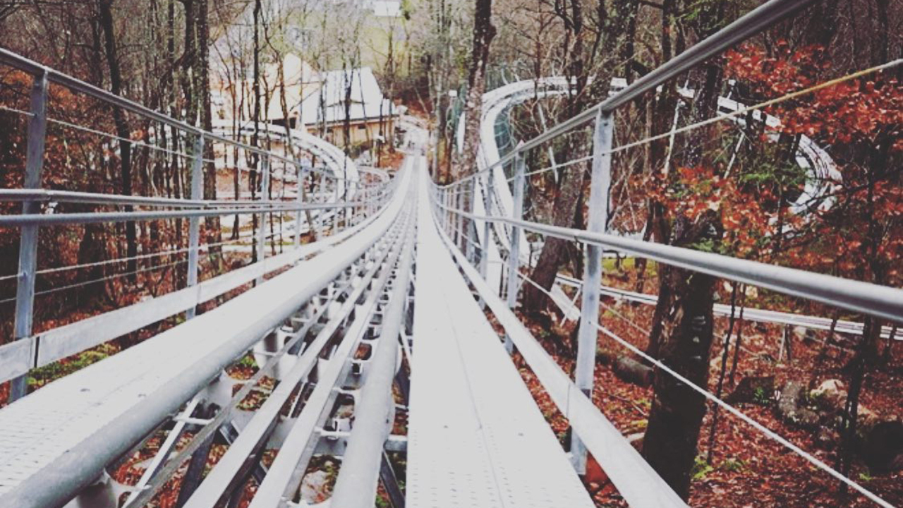 Wilderness Run alpine coaster opens in Banner Elk NC Charlotte