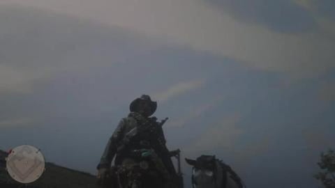 Very Easy Solo Unlimited Money Glitch in Red Dead Online