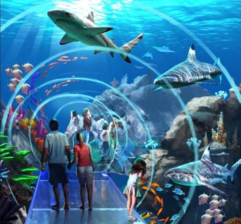 Get a sneak peek at Gulfport's Mississippi Aquarium Biloxi Sun Herald