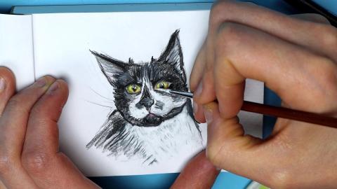 Drawing My Cat Bean