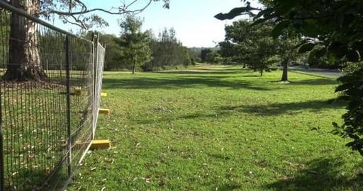 Husky catches up with Malamute puppy and ancient Samoyed