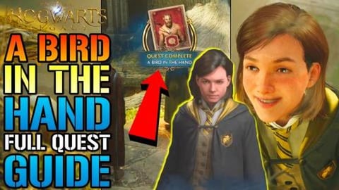 Hogwarts Legacy: A Bird In The Hand Full Quest Guide! All...