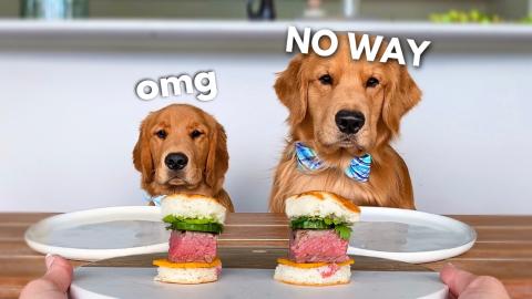 Dog Reviews Food With Little Brother | Tucker Taste Test ...