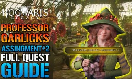 Hogwarts Legacy: Professor Galick's Assignment 2 Full Que...