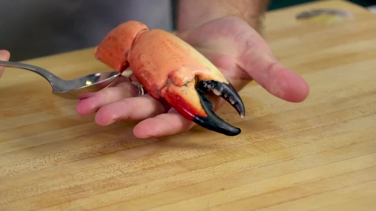 Food hack How to easily crack a stone crab with a spoon Bradenton Herald