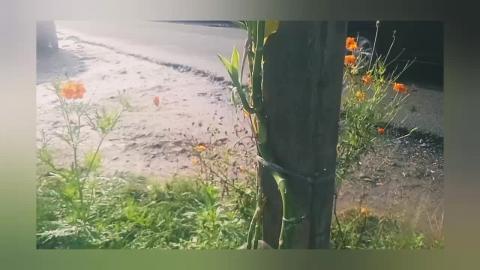 Sunday. There is less traffic at the intersection.