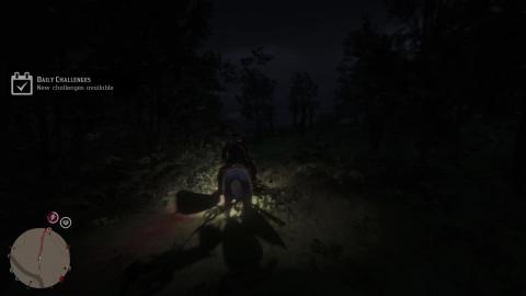 Red Dead Online Gameplay 5